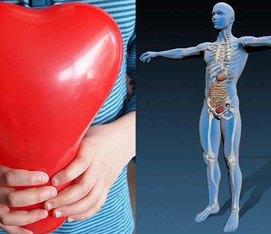 ¿Qué hacer para donar órganos? ¡Descúbrelo!