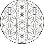 Geometría sagrada: la flor de la vida