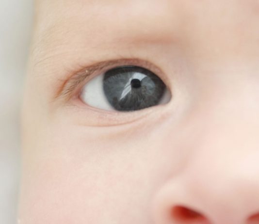 ¿Cómo viviremos dentro de 100 años? ¿Cómo viviremos en 100 años?