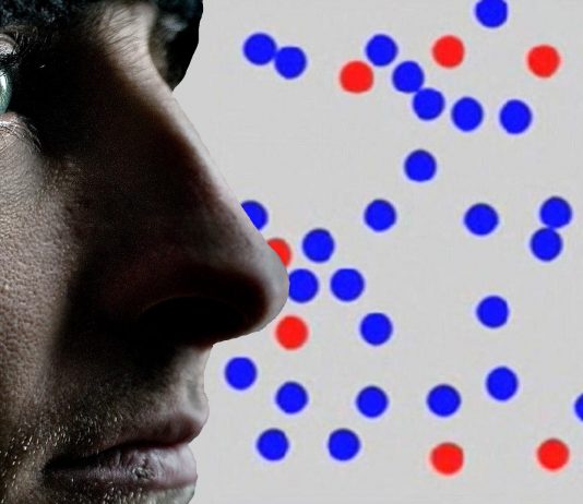 ¿Eres capaz de ver la letra oculta? ¡No todos pueden!