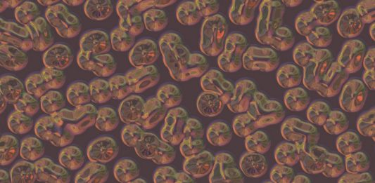 Los microbios sin cerebro pero capaces de aprender Los microbios: sin cerebro pero capaces de aprender