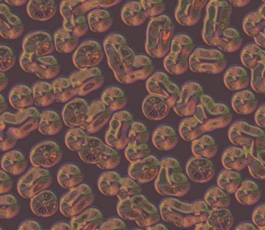 Los microbios sin cerebro pero capaces de aprender Los microbios: sin cerebro pero capaces de aprender