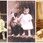 Nanny Dogs