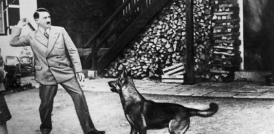 ¿De verdad los nazis intentaron enseñar a los perros a hablar? ¿De verdad los nazis intentaron enseñar a los perros a hablar?