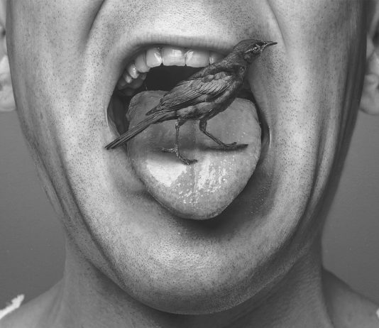 Síndrome del idioma extranjero: despertar hablando otro idioma Síndrome del idioma extranjero: despertar hablando otro idioma