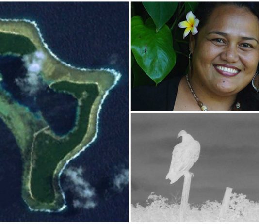 El misterio de Pingelap, La isla cuyos habitantes viven en blanco y negro
