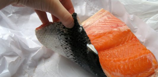 ¿Por qué el salmón es rosado, incluso siendo de criadero? ¡Averígualo! ¿ Por qué el salmón es rosado ? ¡Averígualo!