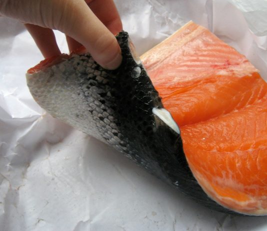 ¿ Por qué el salmón es rosado ? ¡Averígualo!