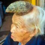 Diseño sin título – 2022-03-02T164156.567