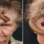 Madame Dimance Supercurioso