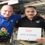 La flor espacial: la primera flor crecida en el espacio