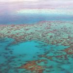 ¿Se recuperará algún día la barrera de Coral?