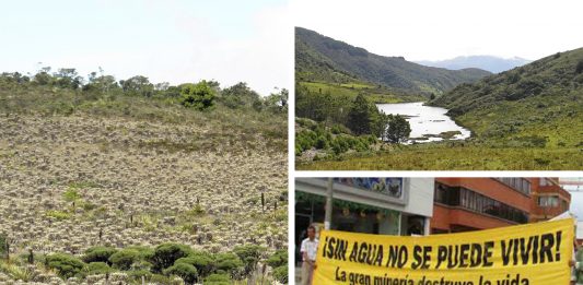 El páramo de Santurbán, un PARAÍSO NATURAL amenazado por la minería