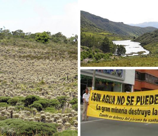 El páramo de Santurbán, un PARAÍSO NATURAL amenazado por la minería