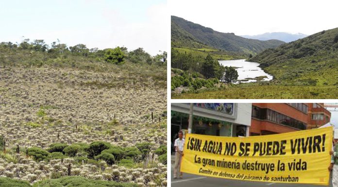 El páramo de Santurbán, un PARAÍSO NATURAL amenazado por la minería