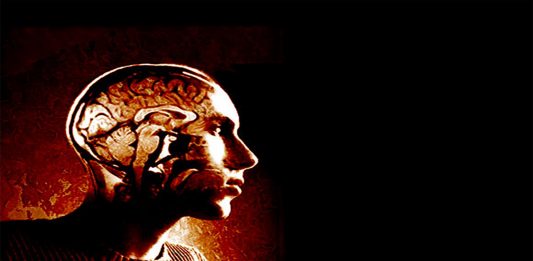 10 datos sobre el cerebro de los hombres que tener en cuenta