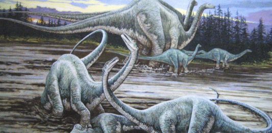 La muerte de los dinosaurios pudo comenzar antes de lo pensado
