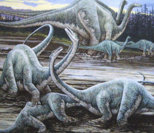 La muerte de los dinosaurios pudo comenzar antes de lo pensado