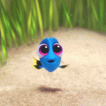 dory