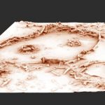 La construcción neandertal más antigua del mundo