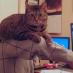 10 claves para conseguir un perfil online atractivo