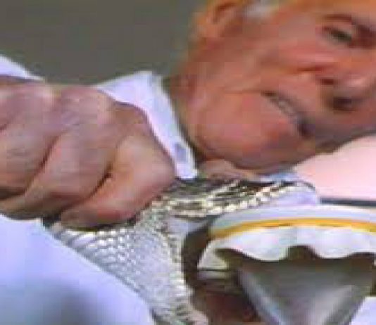 El hombre serpiente, mordido 173 veces llegó a los 100 años