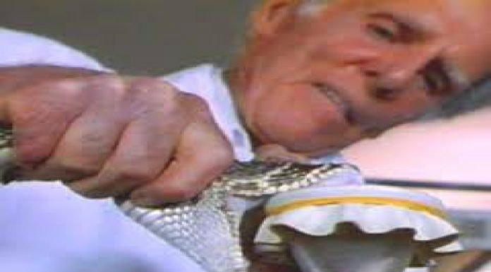 El hombre serpiente, mordido 173 veces llegó a los 100 años