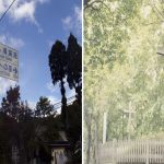 La casi desconocida leyenda JAPONESA de Jesucristo y sus descendientes