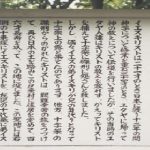 La casi desconocida leyenda JAPONESA de Jesucristo y sus descendientes