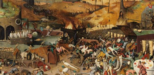 La pulga de la Peste Negra | ¿Cómo se trasmite esta enfermedad?