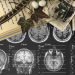 Memoria: ¿en qué parte del cerebro está?