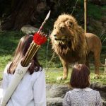 10 curiosidades sobre la película «Las crónicas de Narnia»