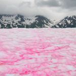 nieve de sandía