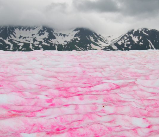 La bella pero peligrosa nieve de sandía