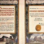 Alfred Nobel inventó los premios para sentirse bien consigo mismo.