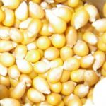 ¿Sabes por qué explotan las palomitas?