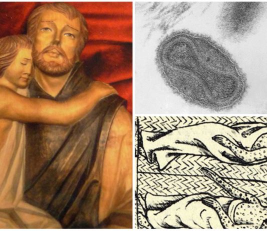 Pedro Manuel Chaparro, el fraile visionario que salvo a 5.000 personas de la viruela