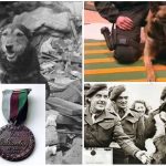 La medalla DICKIN: la Cruz Victoria al valor de los animales