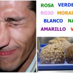 El curioso efecto stroop. Tu cerebro vacila.