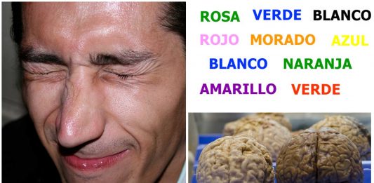El curioso efecto Stroop. Tu cerebro vacila El curioso efecto stroop. Tu cerebro vacila.