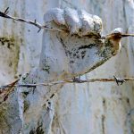 Experimentación nazi en seres humanos ¡Horripilante!