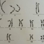 Experimentación nazi en seres humanos. ¡Horripilante!