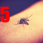 ¡5 cosas que te hacen atractivo para los mosquitos!