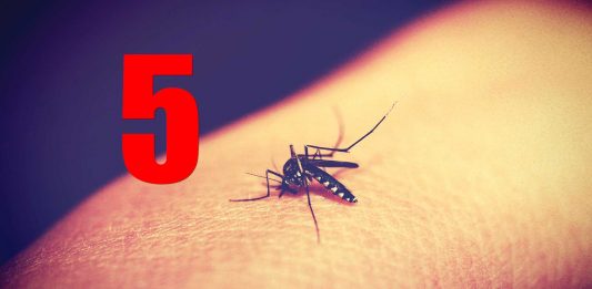 ¡5 cosas que te hacen atractivo para los mosquitos!