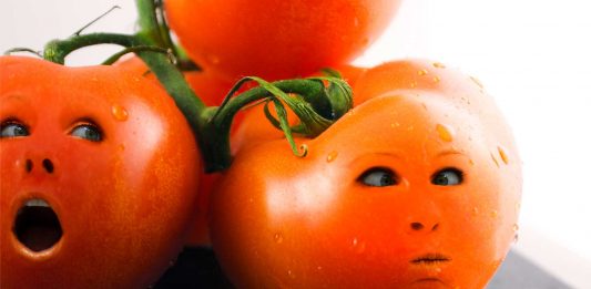 5 frutas y verduras con efectos increíbles en tu físico 5 frutas y verduras con efectos increíbles en tu físico