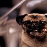 7 datos sobre Men In Black que te encantará conocer