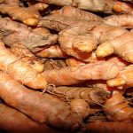 5 poderosos antibióticos naturales