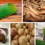 5 poderosos antibióticos naturales