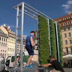 Árboles urbanos contra la contaminación
