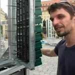 Árboles urbanos contra la contaminación